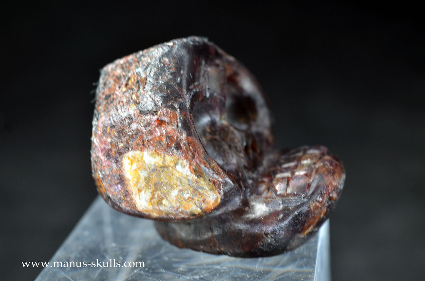 Garnet Evolian #04