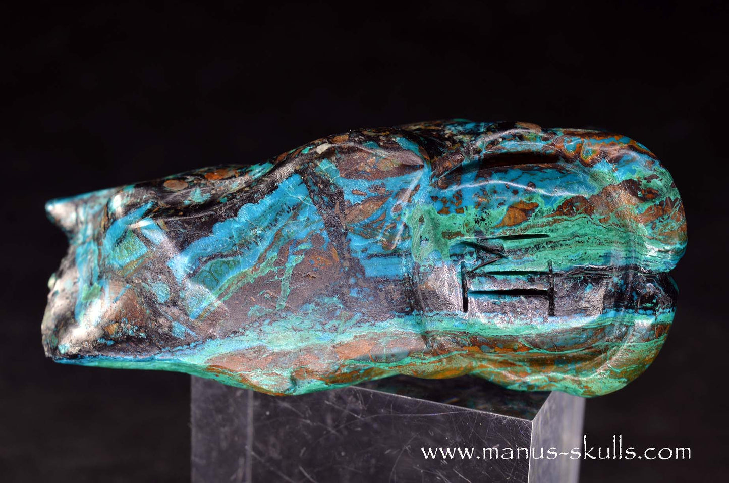 Chrysocolla Dragon