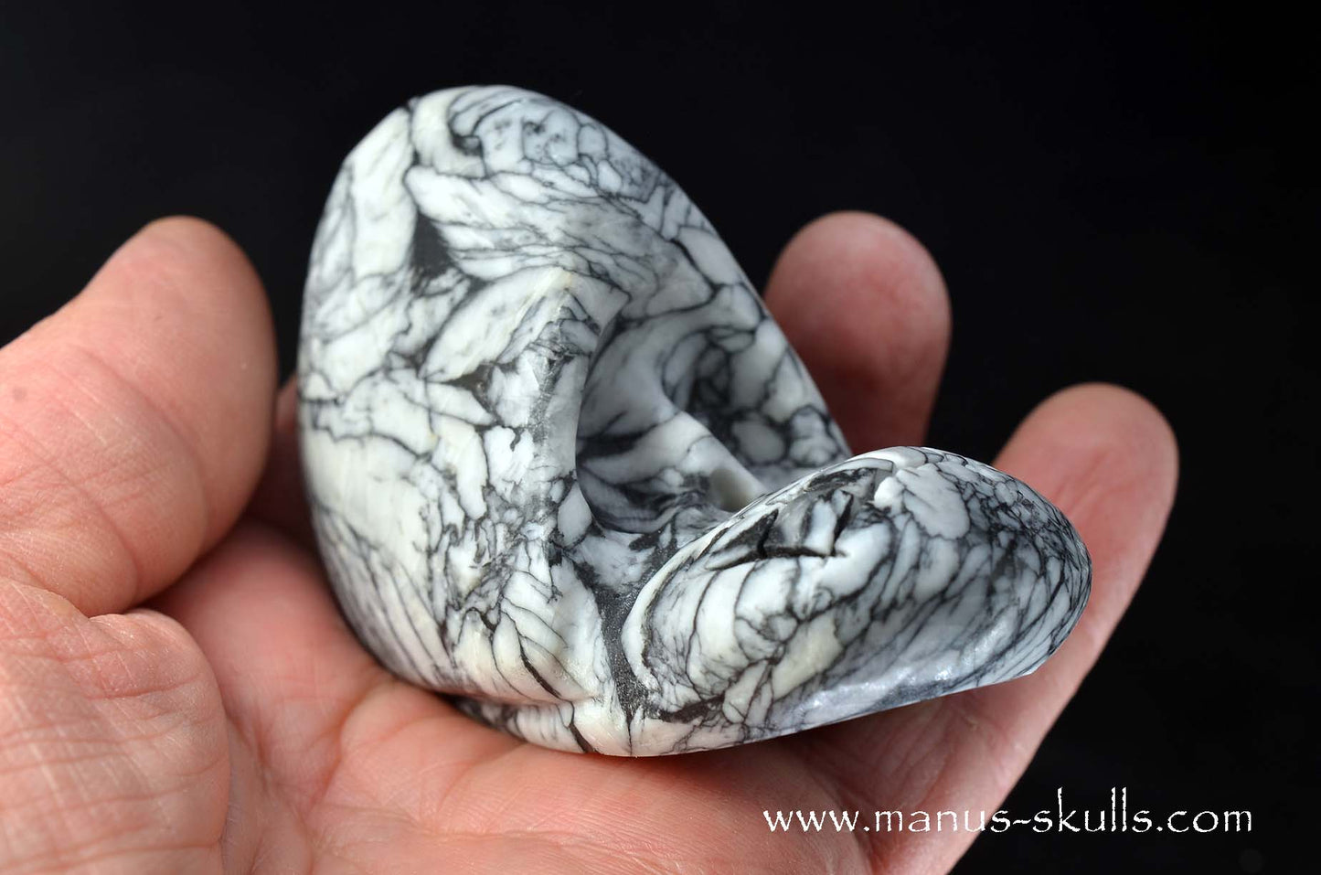 Austrian Pinolith Evolian #01