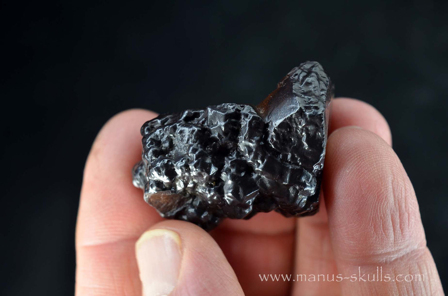 Prophecy Stone Evolian #07