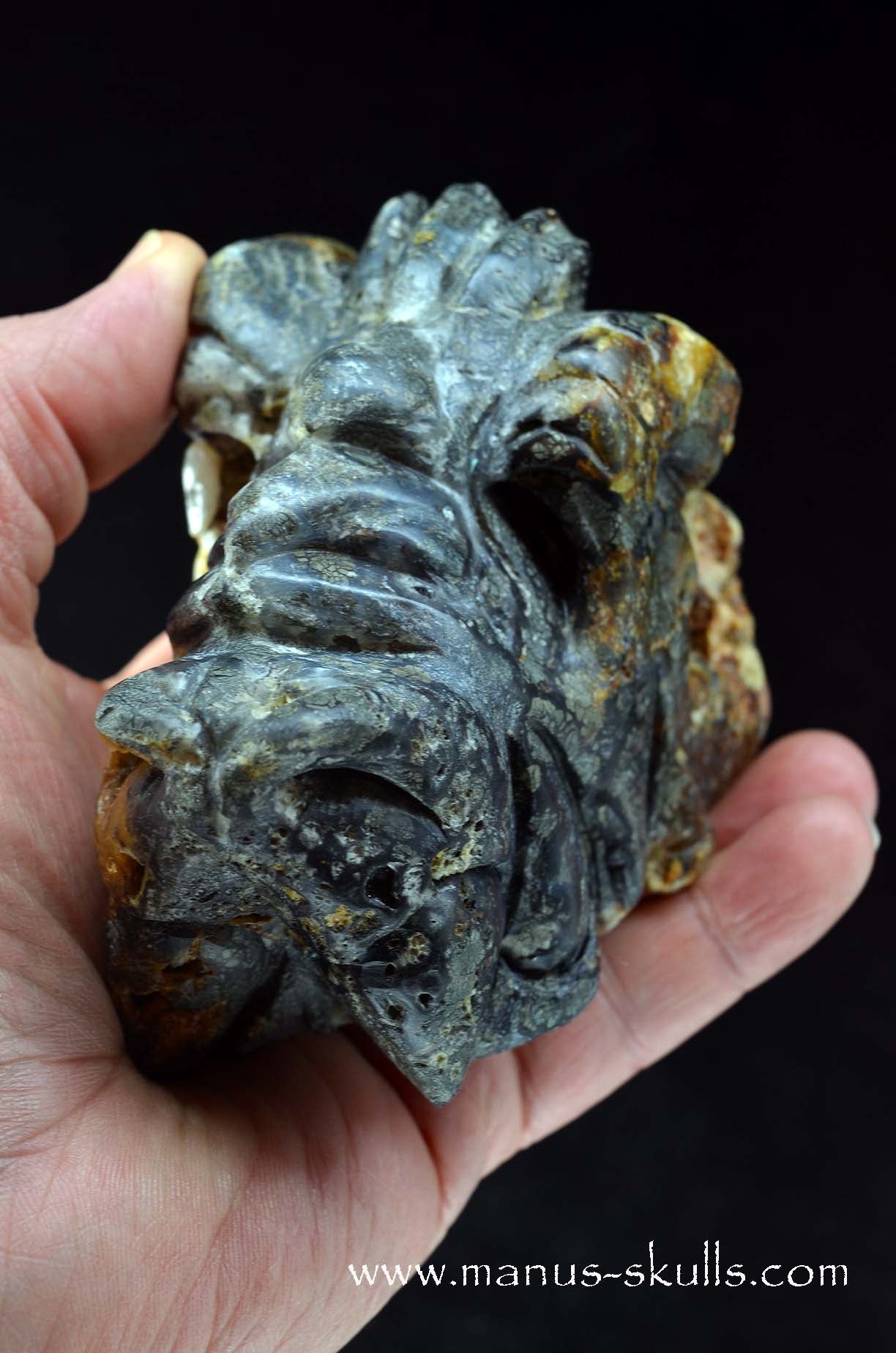 Rare MARCASITE ~ Pyrite Dragon