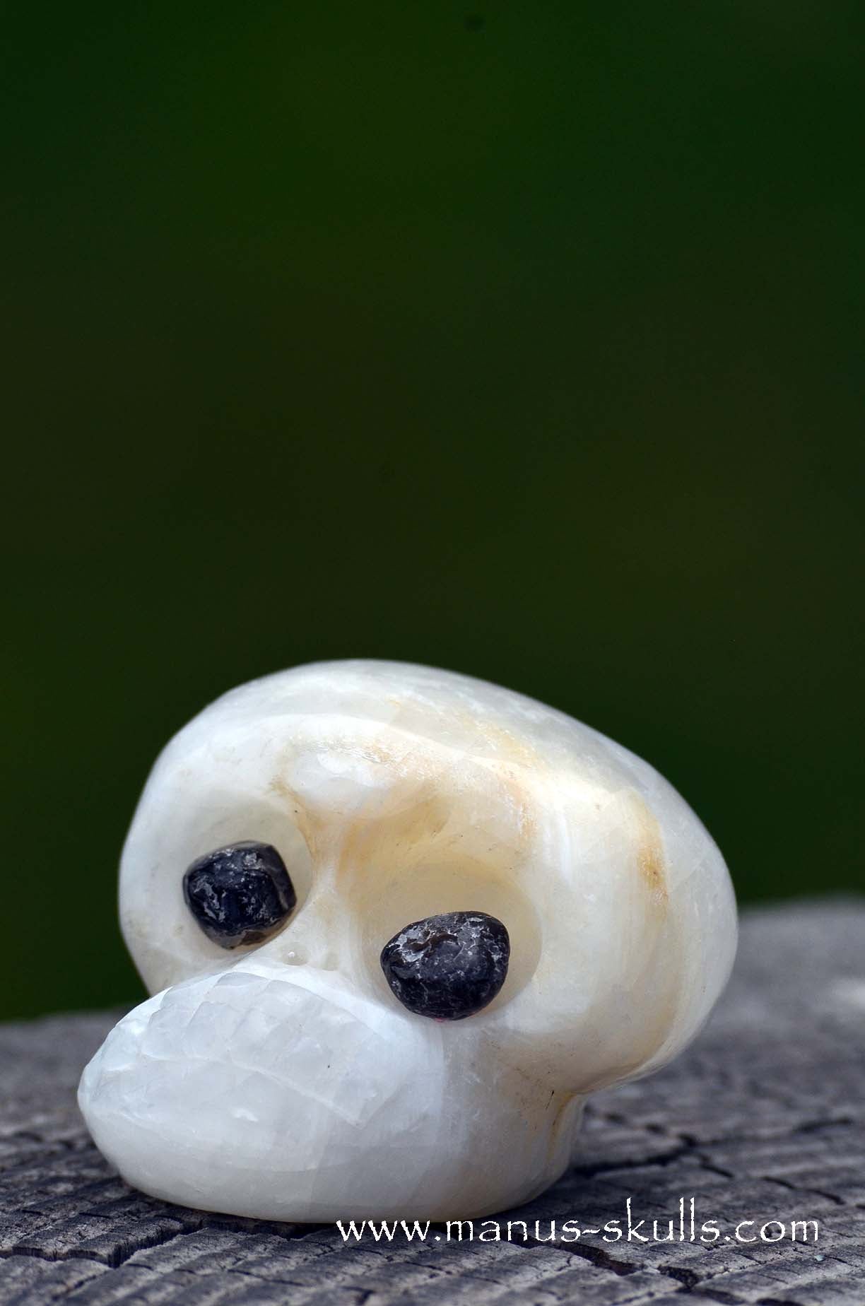 Manus skulls unique Crystal Carvings handmade skulls dragons pendants preseli bluestone tribals spiritual meaning wand Unicorn .. white calcite Evolian 2025