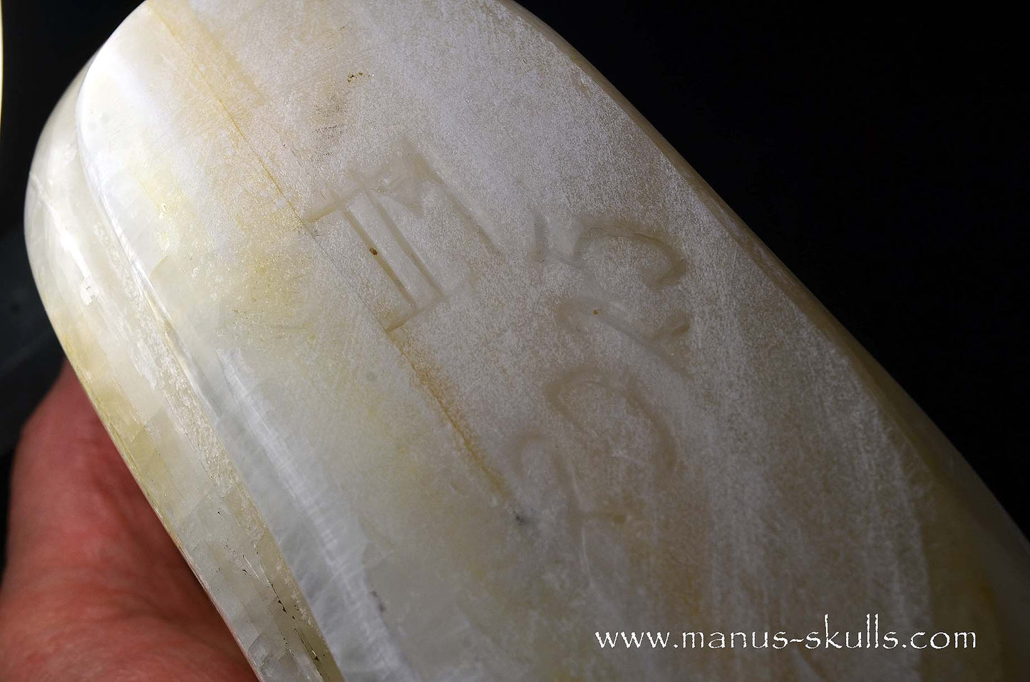 White Calcite Evolian Skull  #04