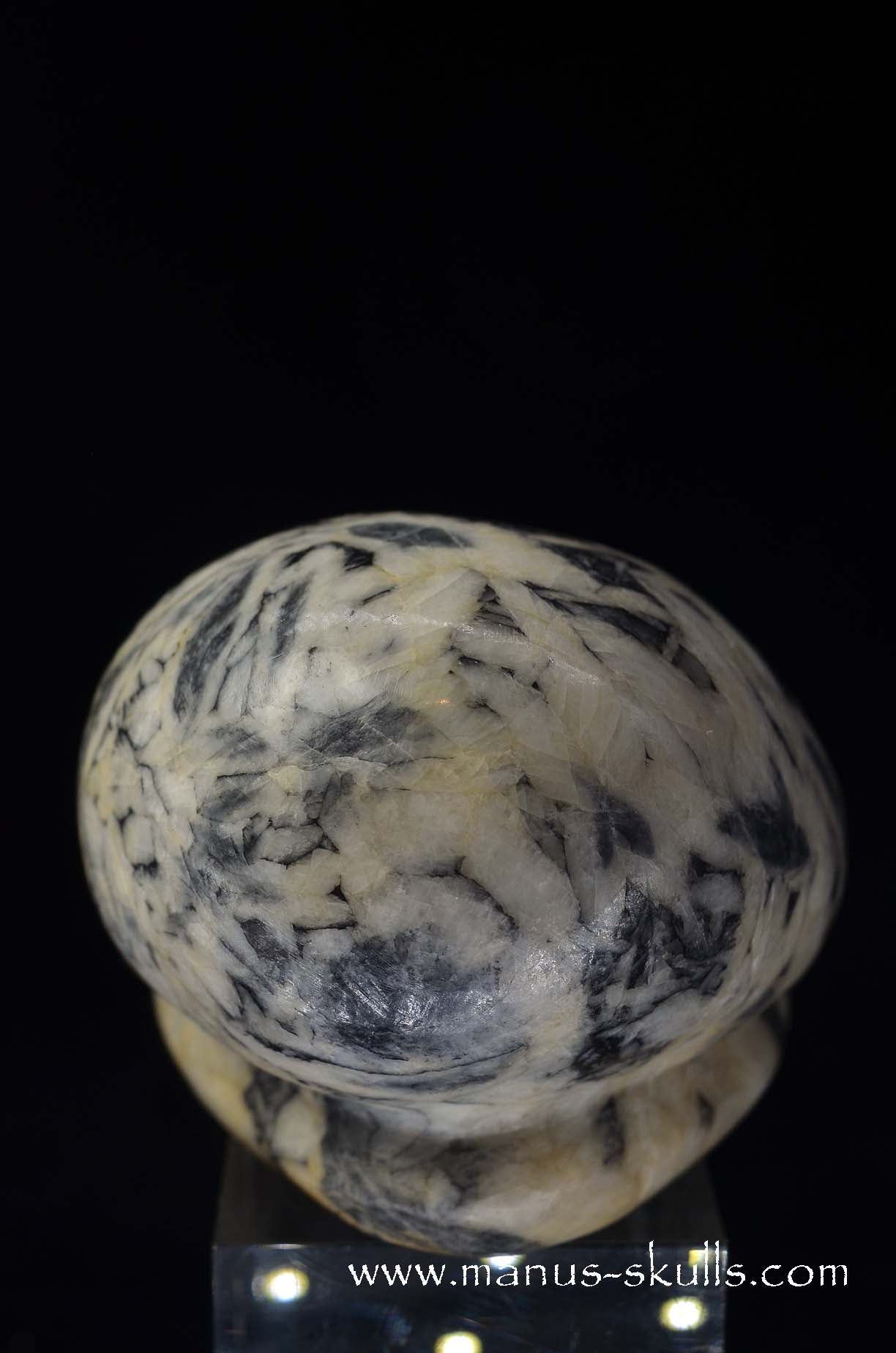 Austrian Pinolith Evolian #02