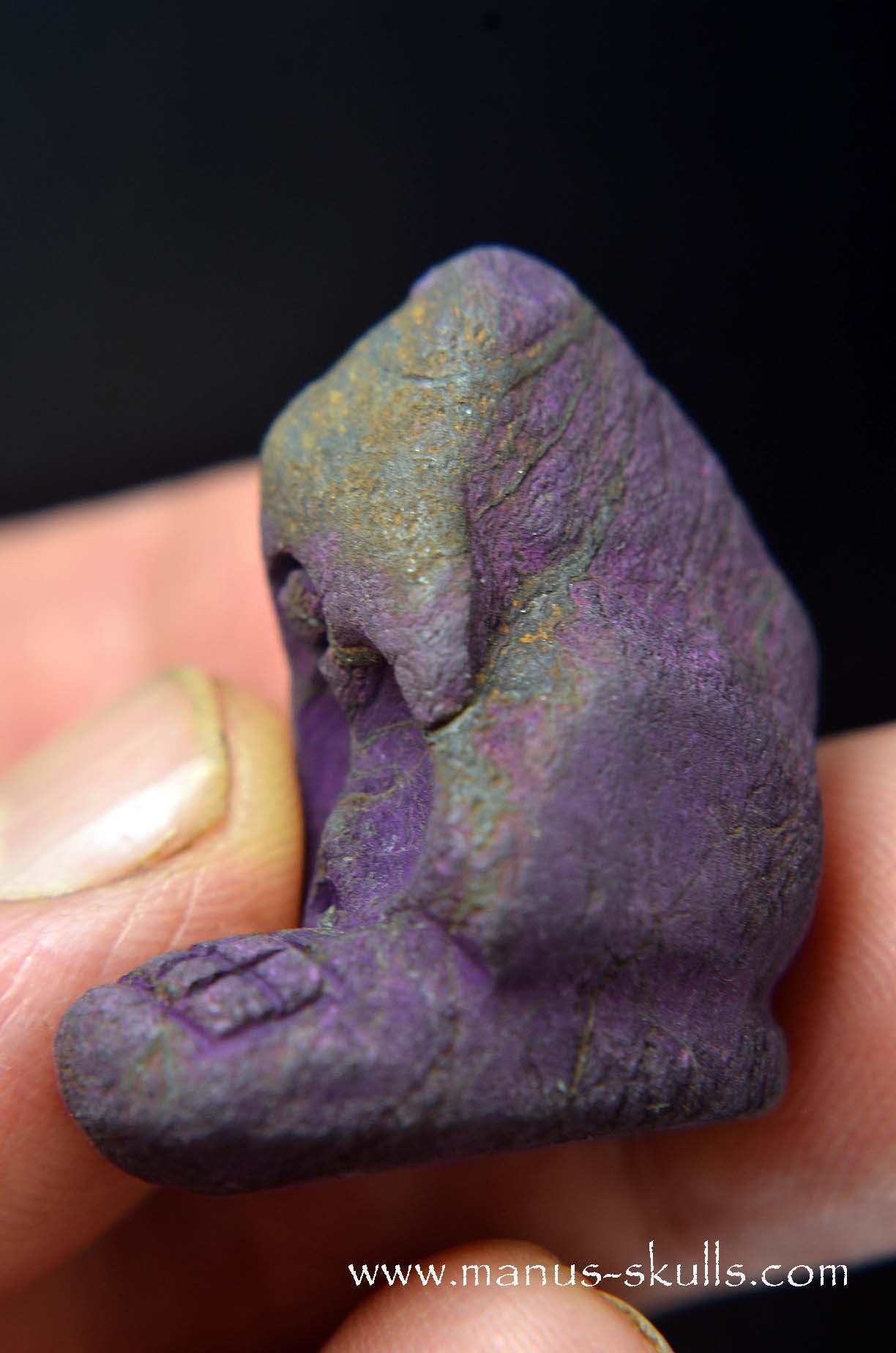 Purpurite Evolian #10