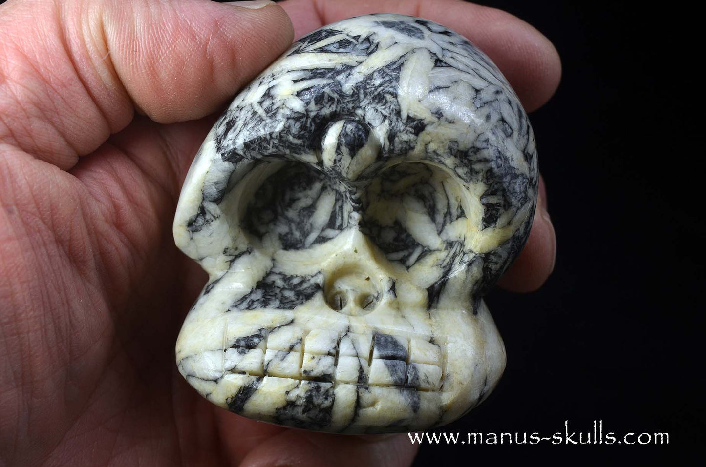 Austrian Pinolith Evolian #02