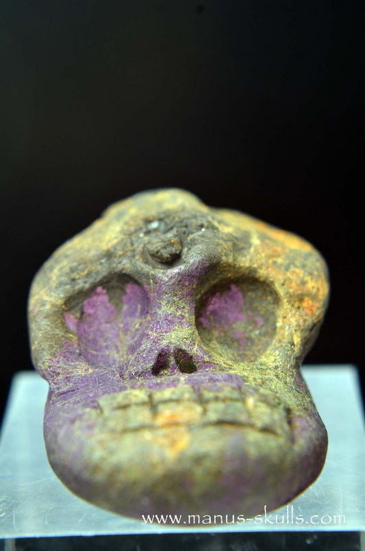 Manus skulls unique Crystal Carvings handmade skulls dragons pendants preseli bluestone tribals spiritual meaning wand Unicorn .. Evolian 2025 purpurite