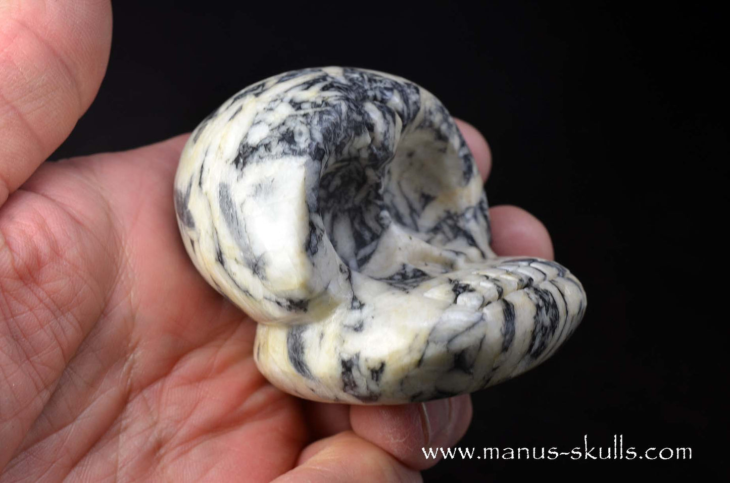 Austrian Pinolith Evolian #02