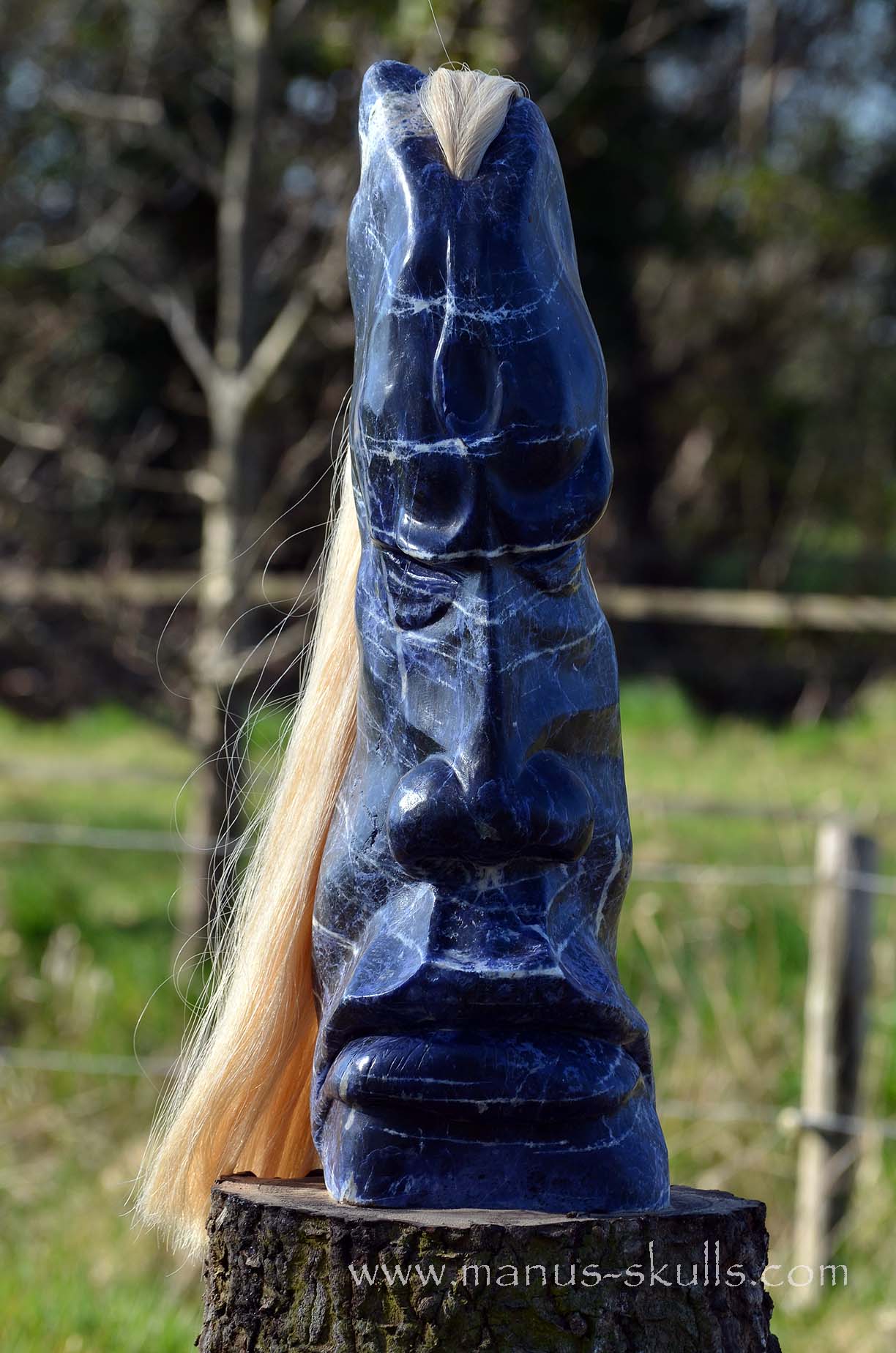 Sodalite Tribe Statue #001