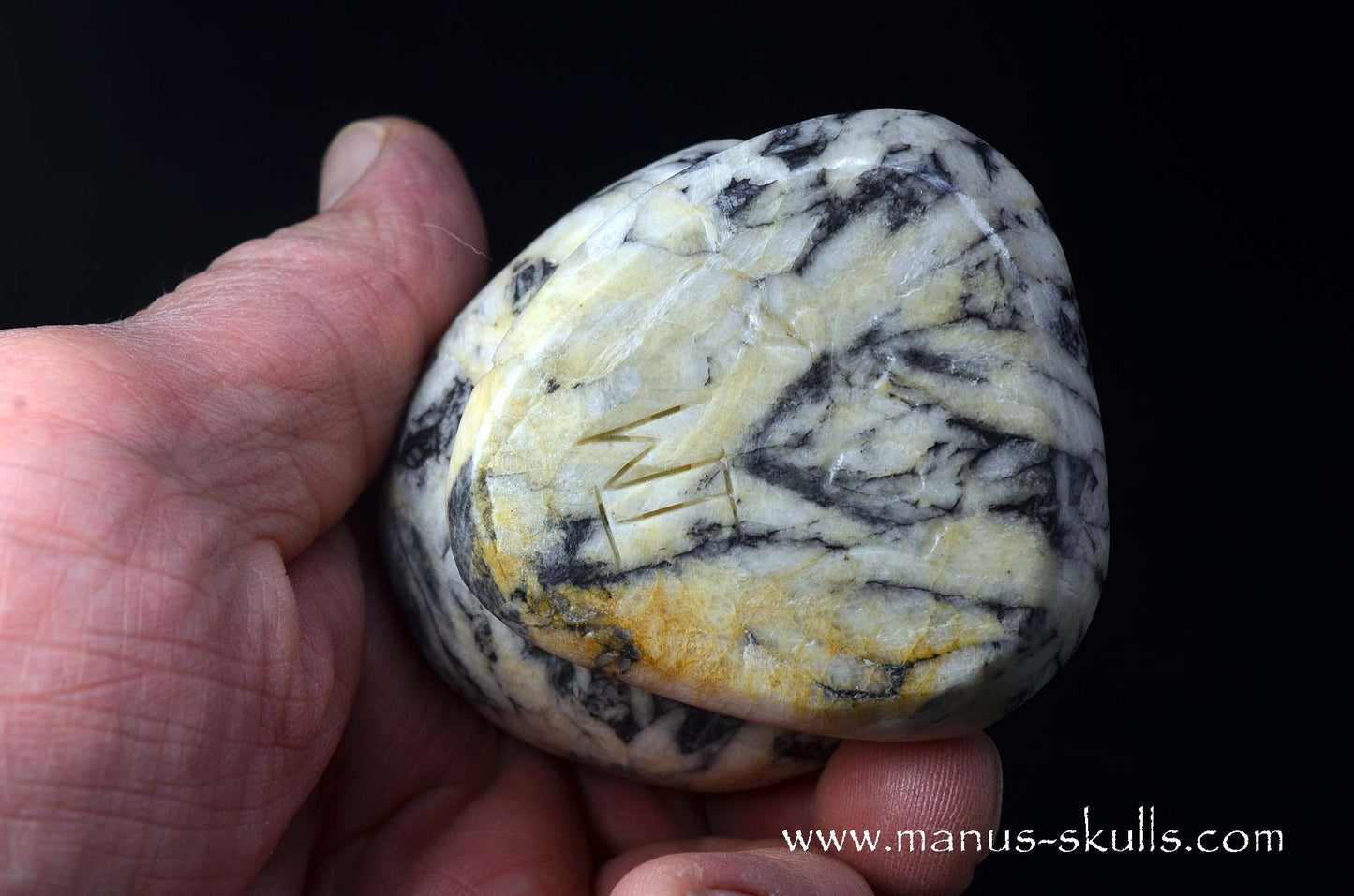 Austrian Pinolith Evolian #02