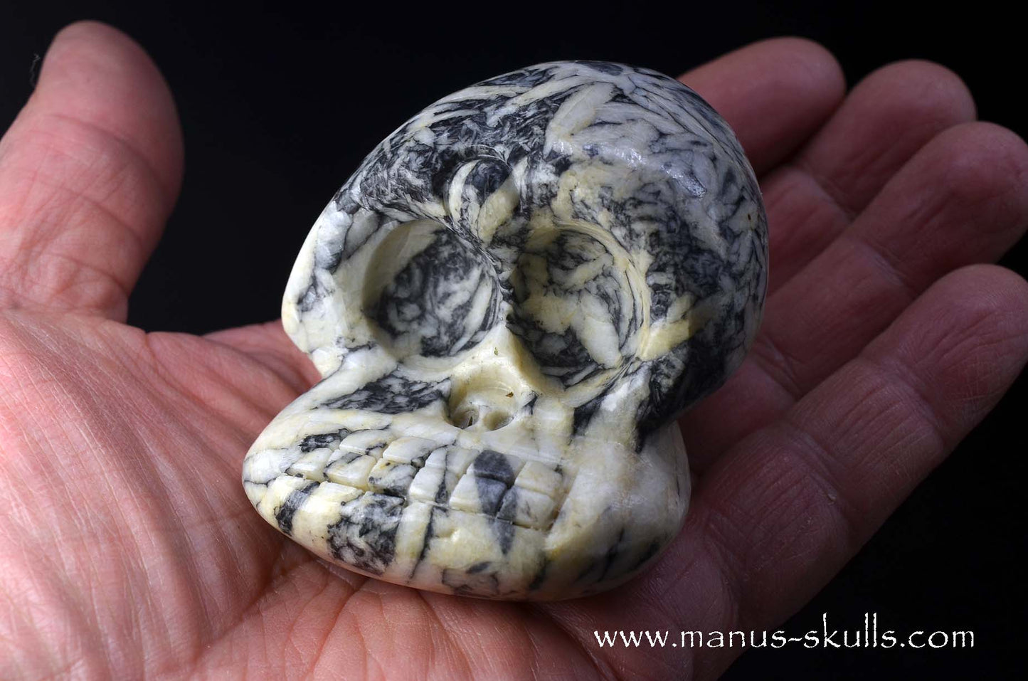Austrian Pinolith Evolian #02