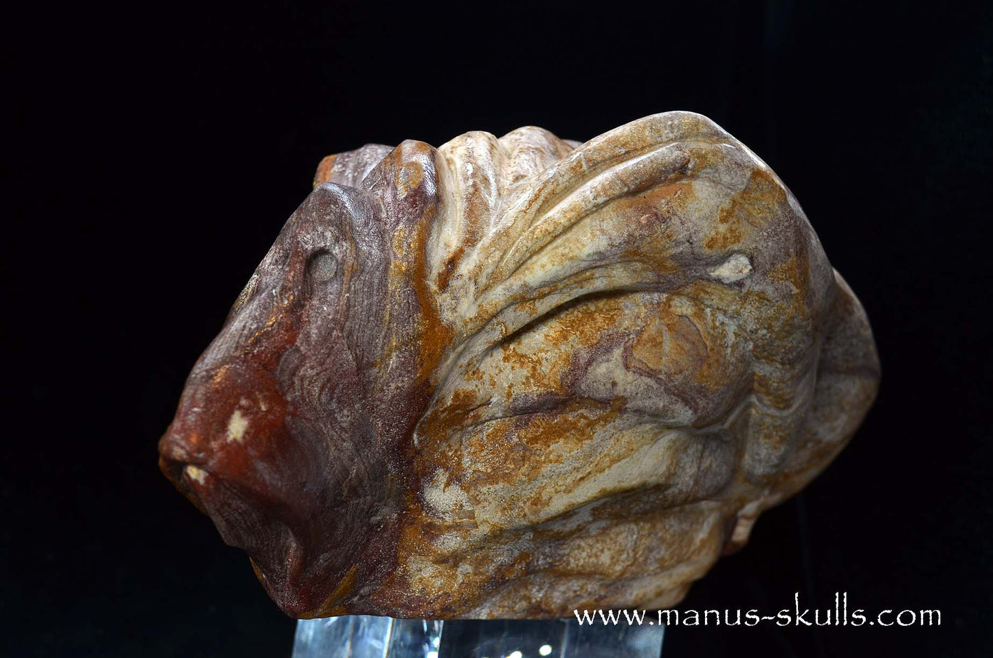 Large Batik Jasper ALIEN Dragon ~ First 2026 Carve!!
