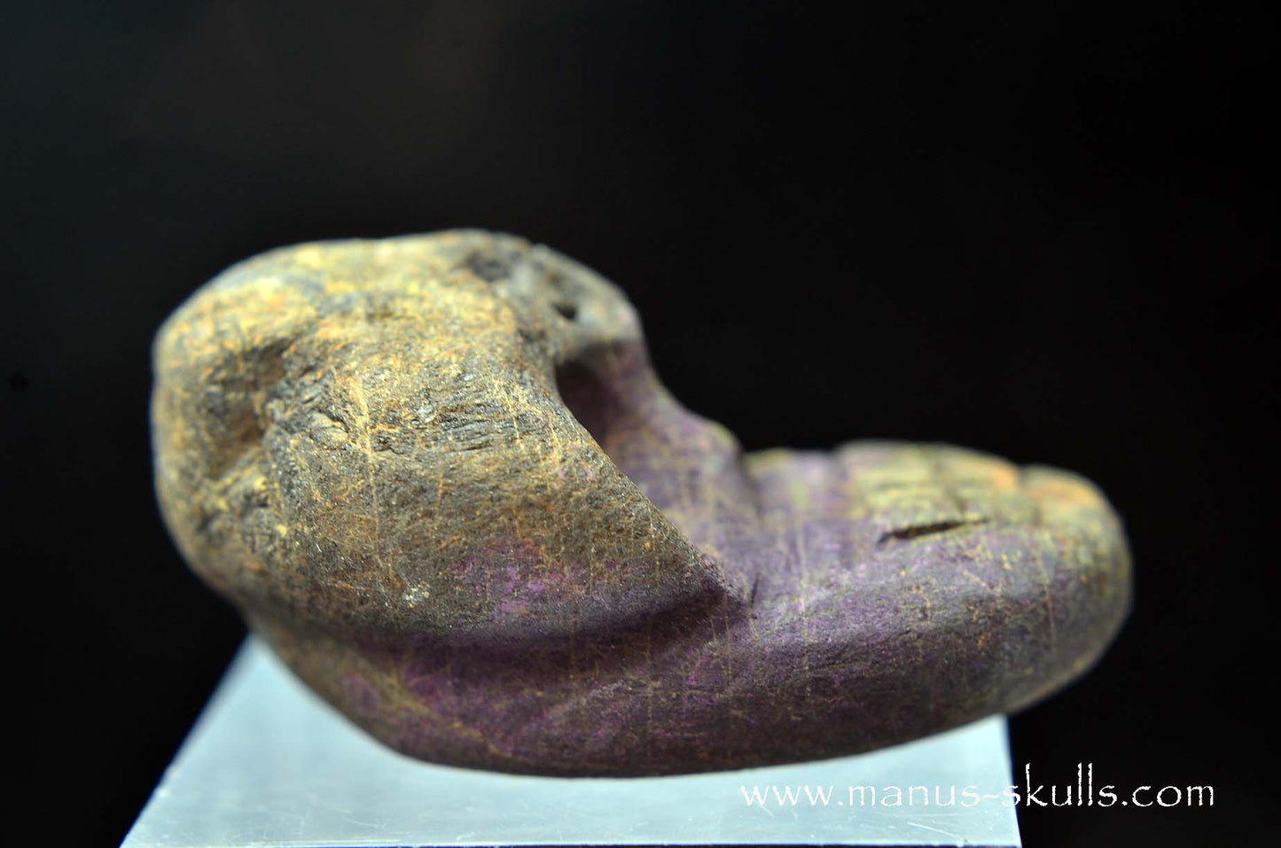 Purpurite Evolian #11