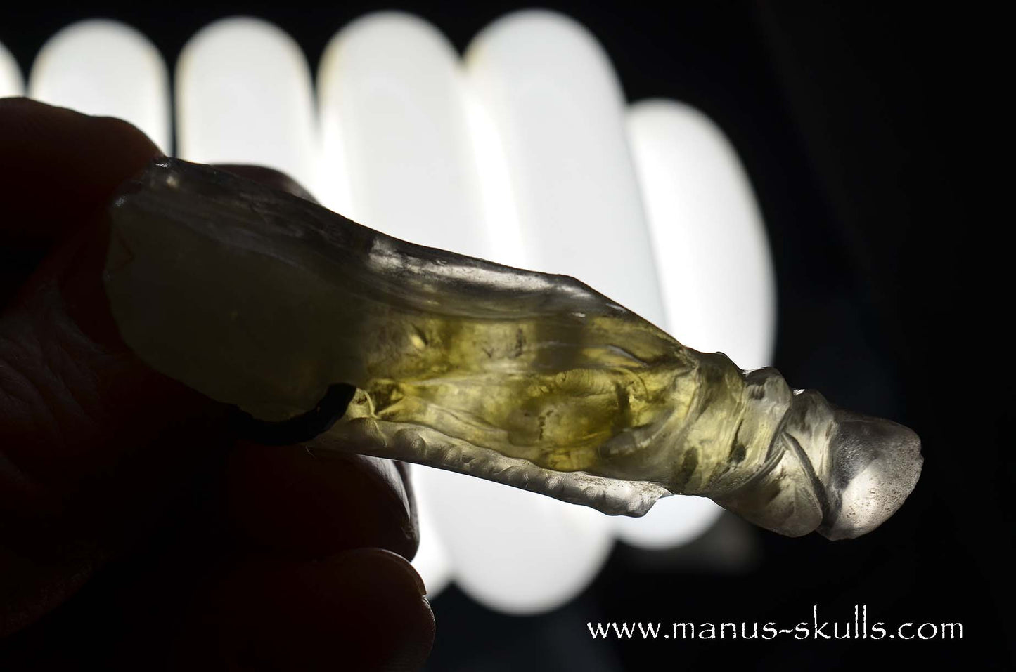 Himalayan Citrine Dragon Pendant