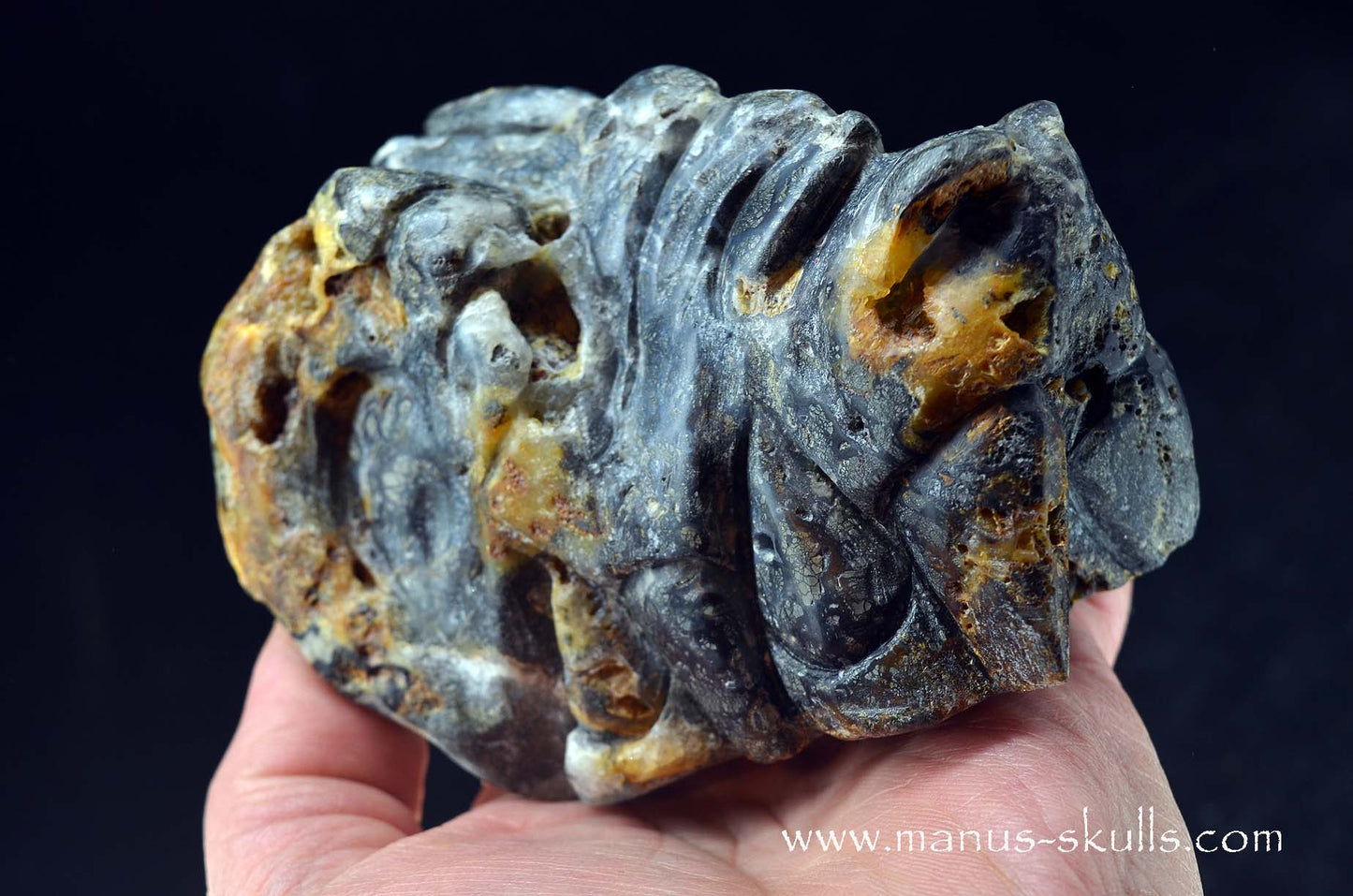 Rare MARCASITE ~ Pyrite Dragon