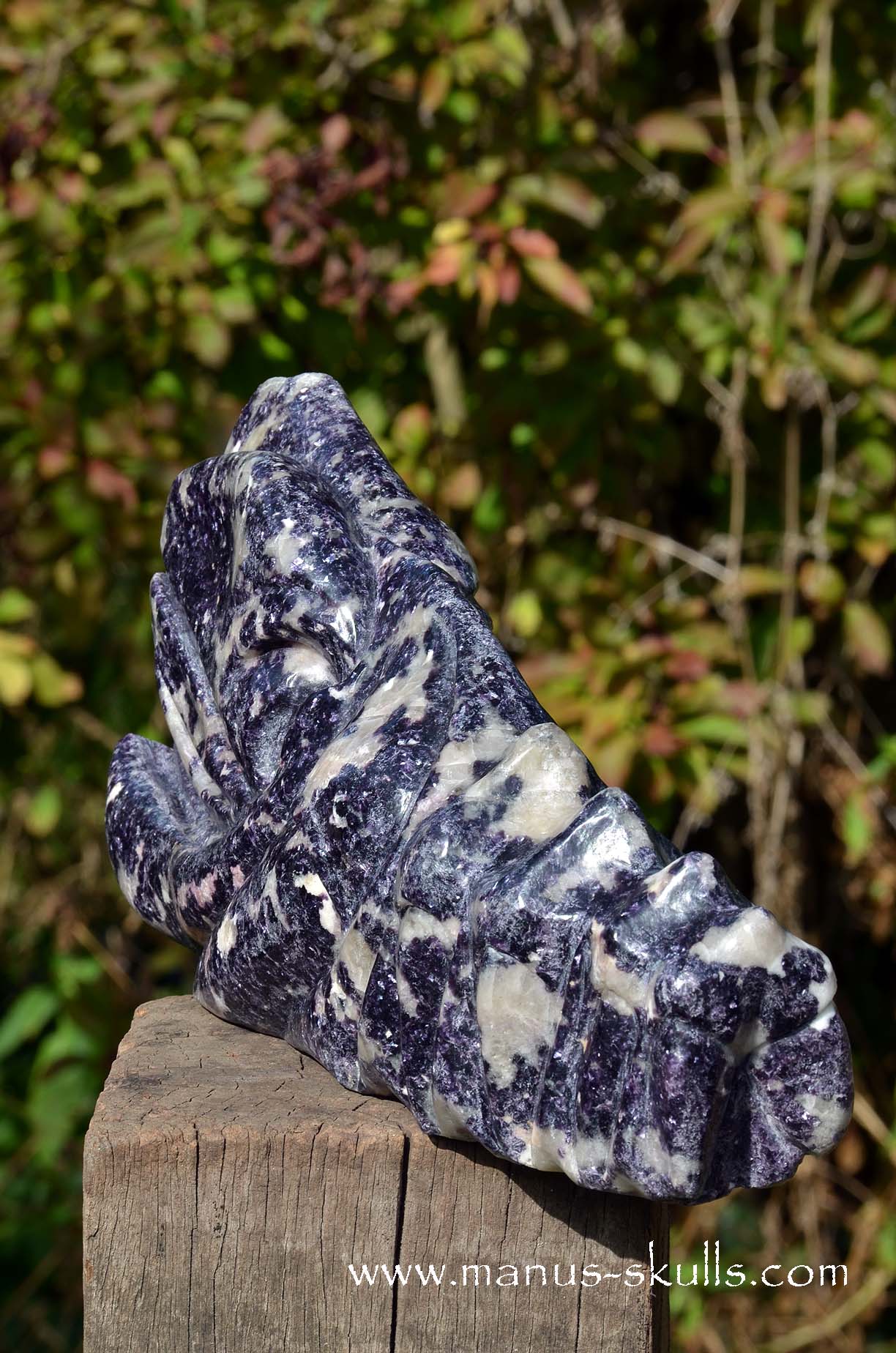 Huge LEPIDOLITE Dragon ...