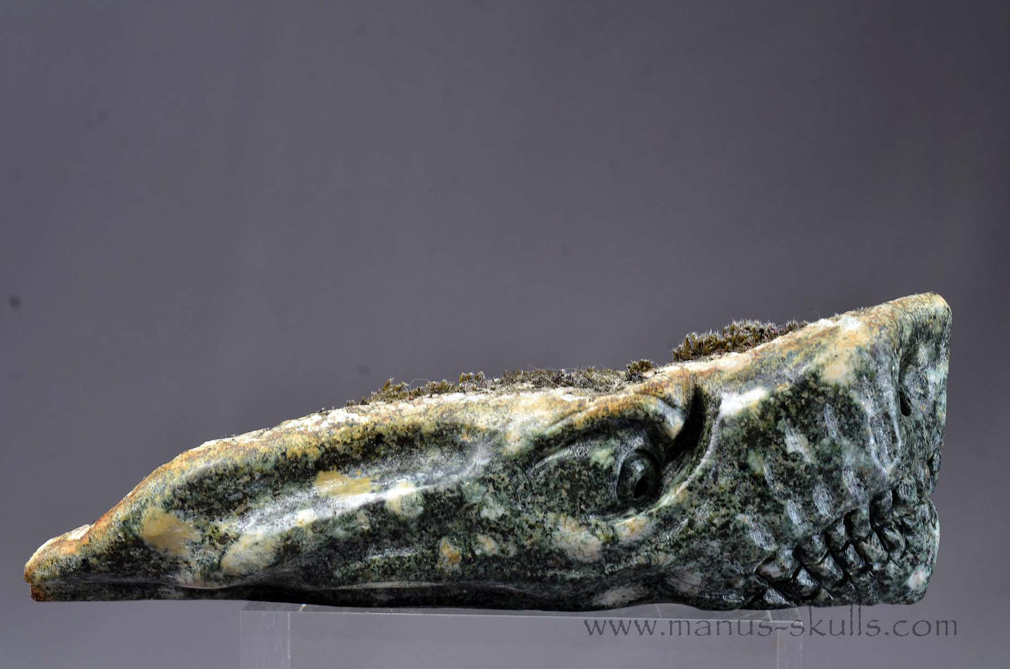 Preseli Bluestone Dragon with living moss on top.
