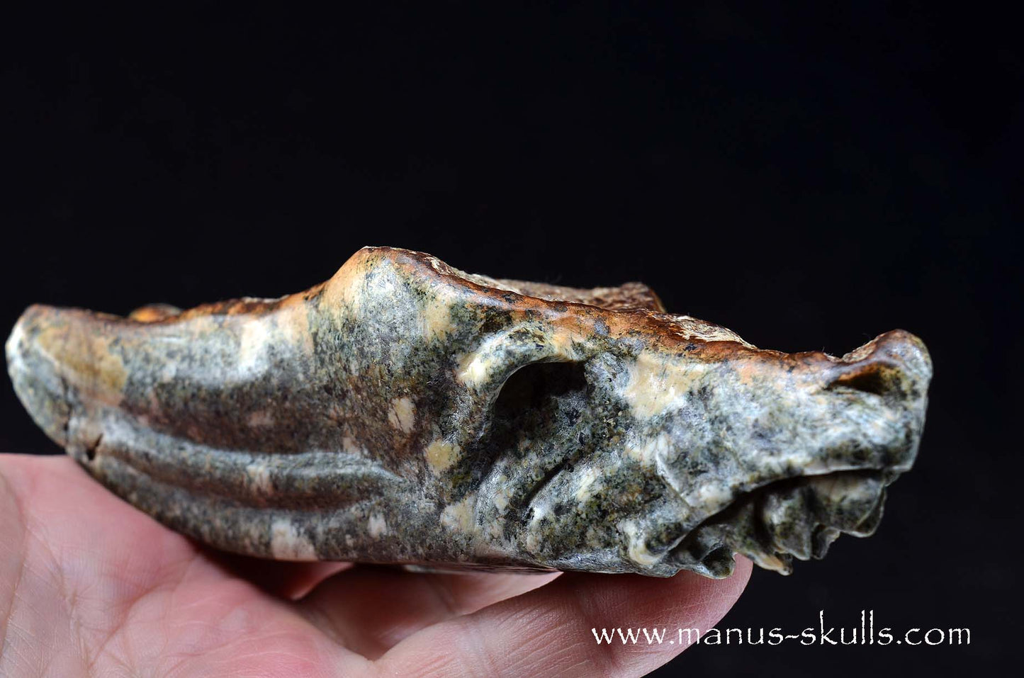 Preseli Bluestone Dragon