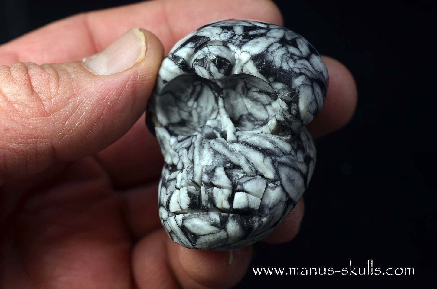 Austrian Pinolith Evolian #03