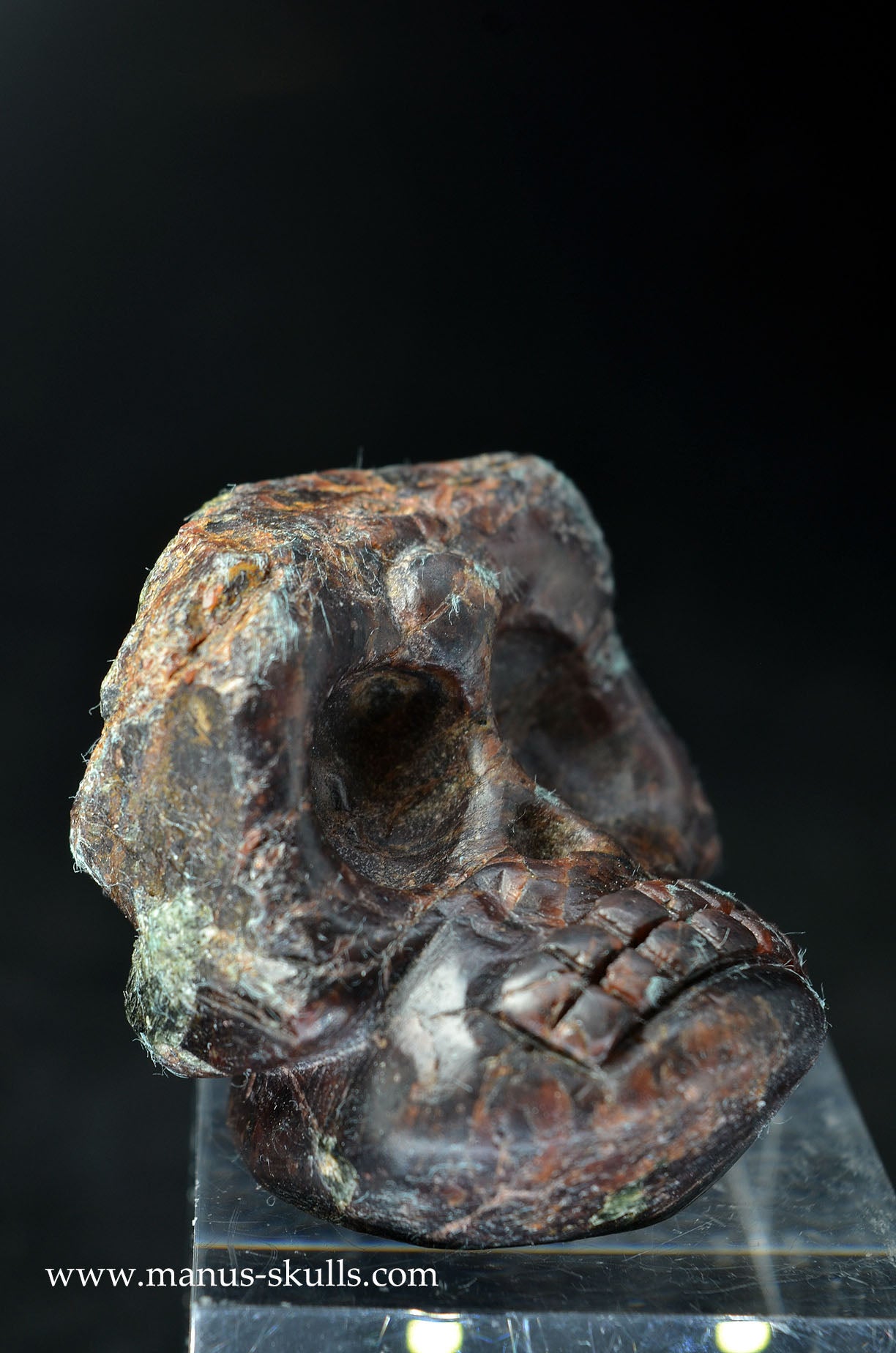 Manus skulls unique Crystal Carvings handmade skulls dragons pendants preseli bluestone tribals spiritual meaning wand Unicorn .. garnet