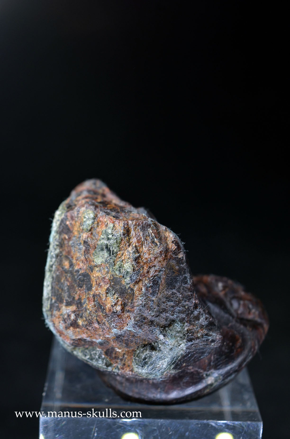 Garnet Evolian #06