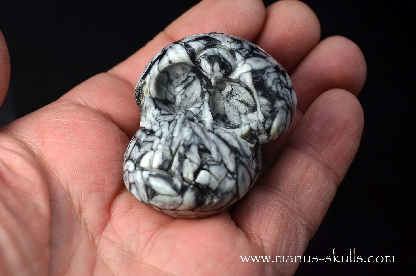 Austrian Pinolith Evolian #03