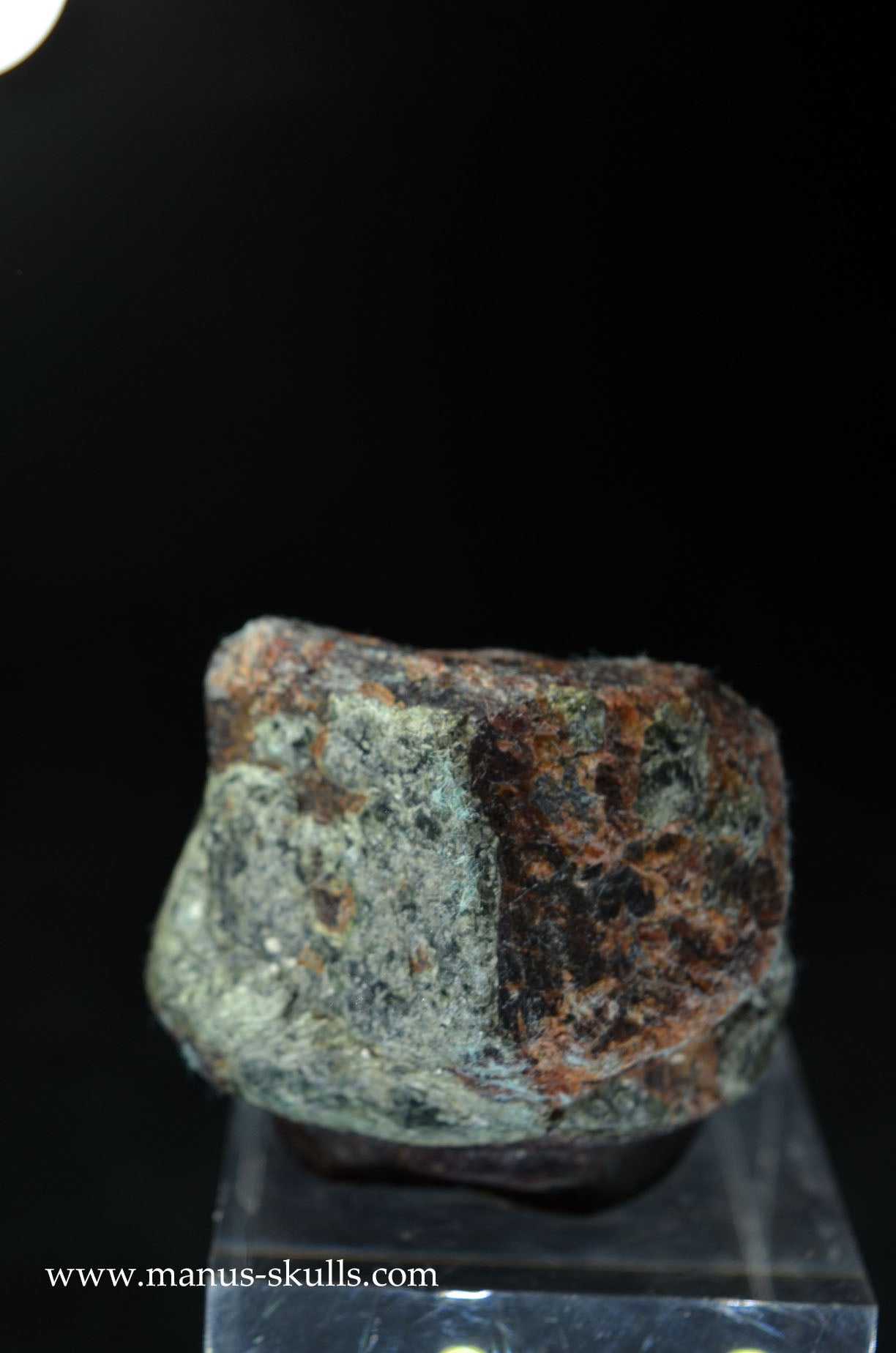 Garnet Evolian #06