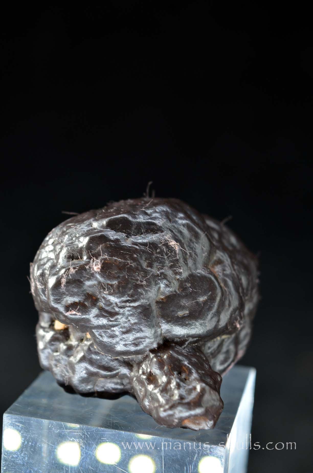 Prophecy Stone Evolian #09
