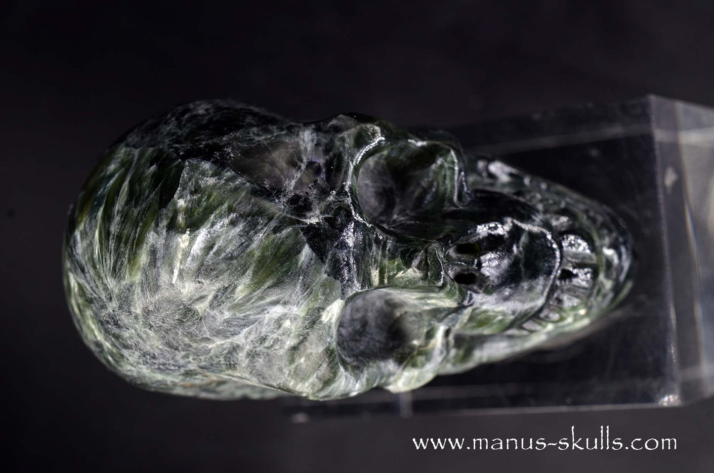 Seraphinite Skull