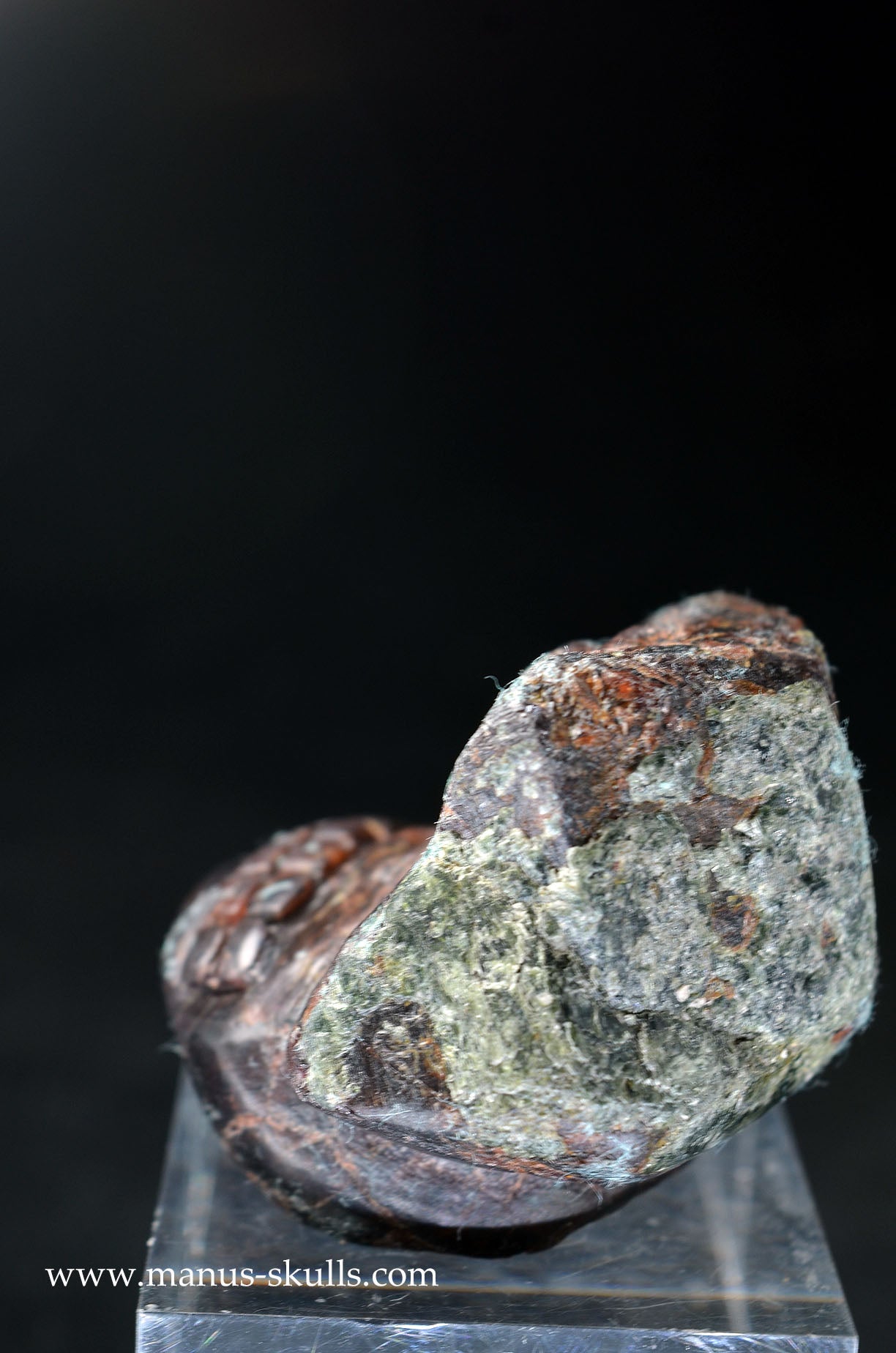 Garnet Evolian #06