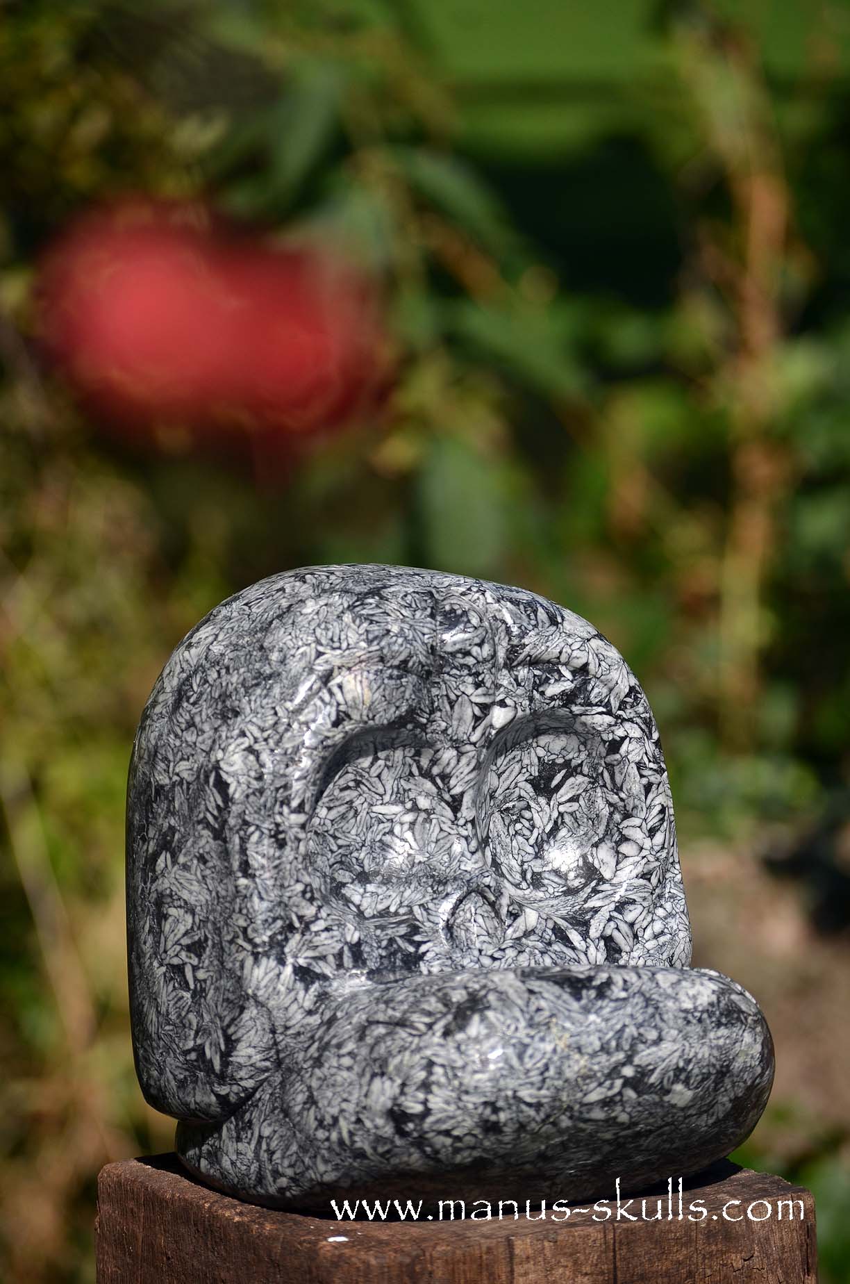Austrian Pinolith Evolian #08