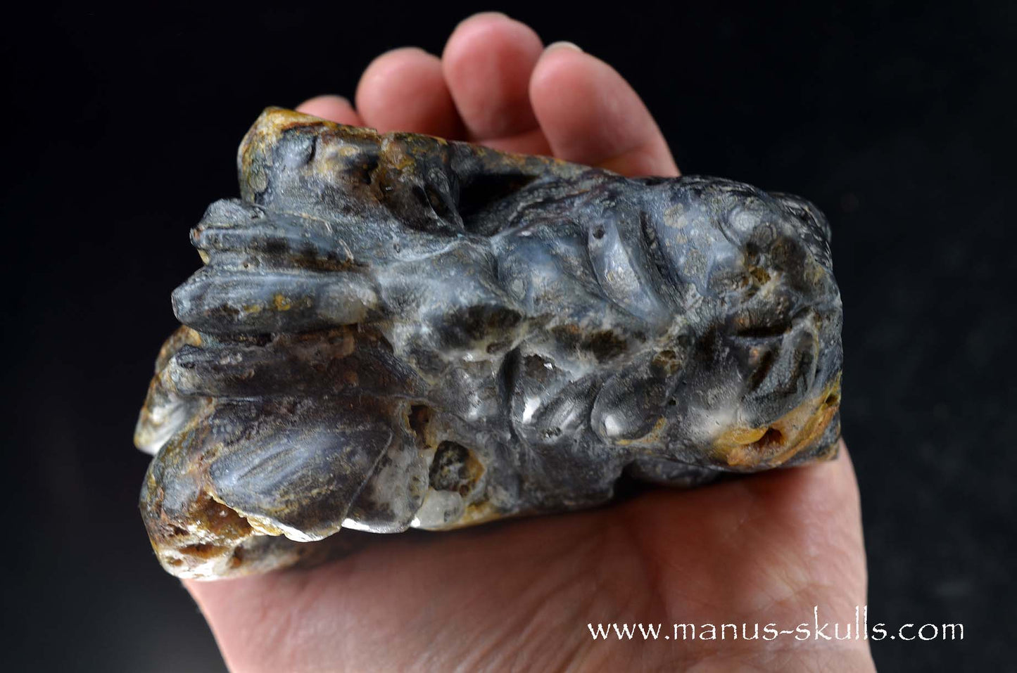 Rare MARCASITE ~ Pyrite Dragon