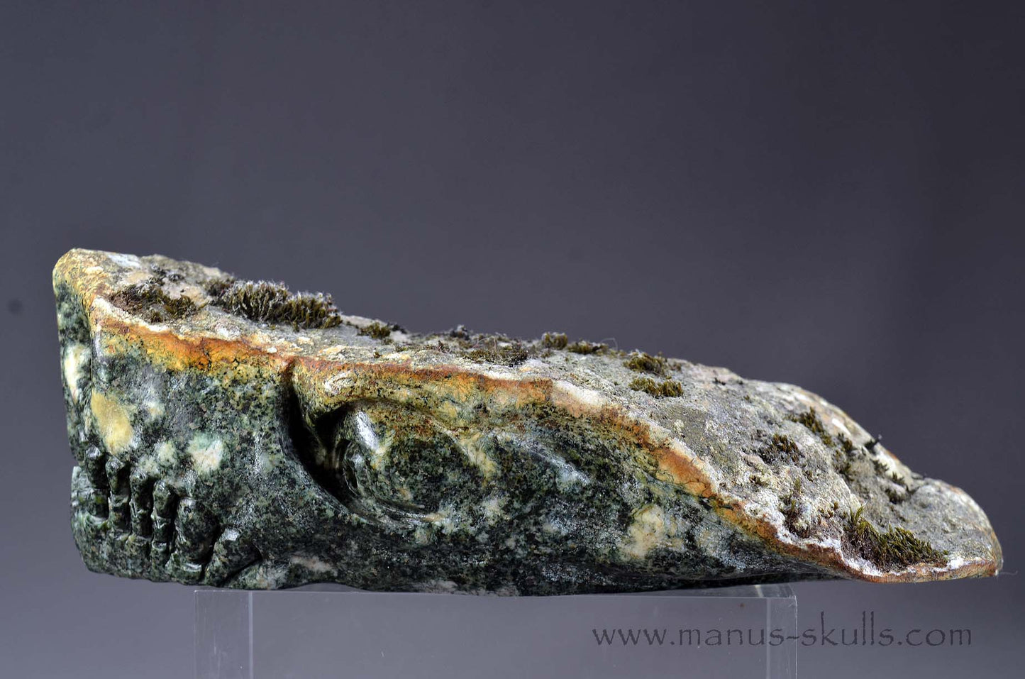 Preseli Bluestone Dragon with living moss on top.