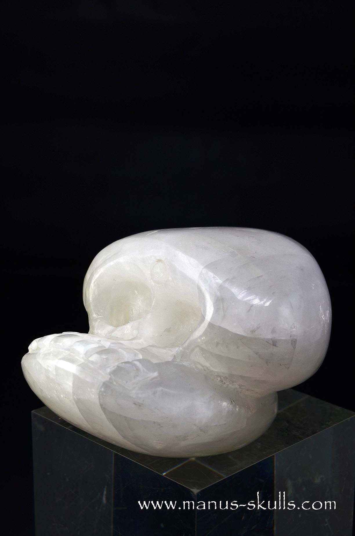 Manus skulls unique Crystal Carvings handmade skulls dragons pendants preseli bluestone tribals spiritual meaning wand Unicorn .. white calcite Evolian 2025