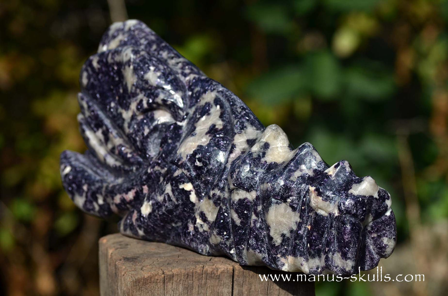 Huge LEPIDOLITE Dragon ...