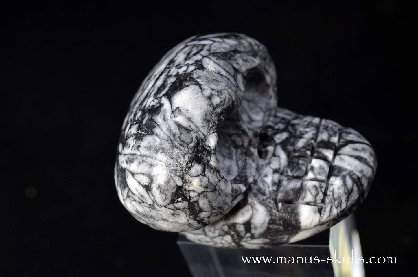 Austrian Pinolith Evolian #04