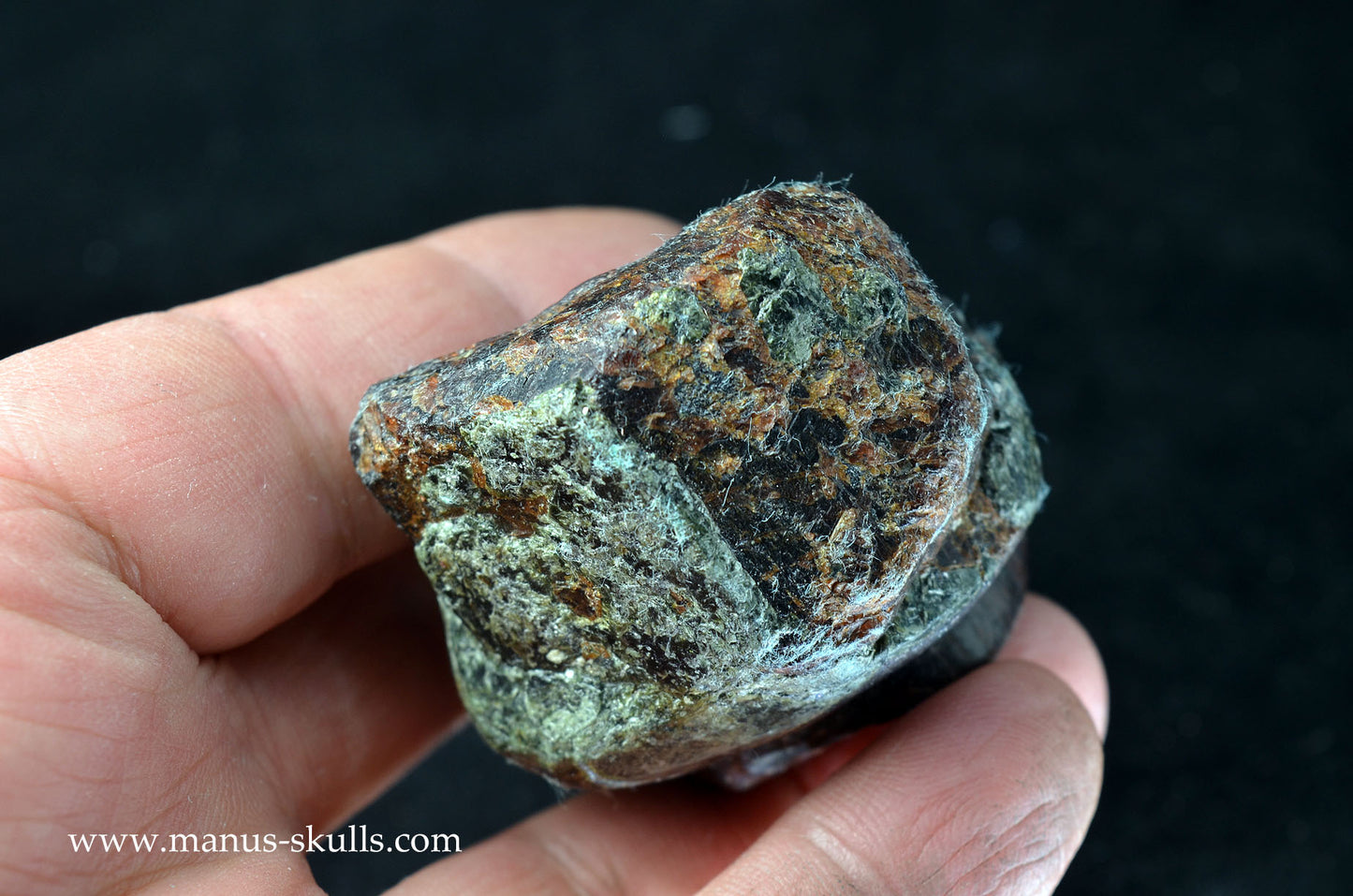 Garnet Evolian #06