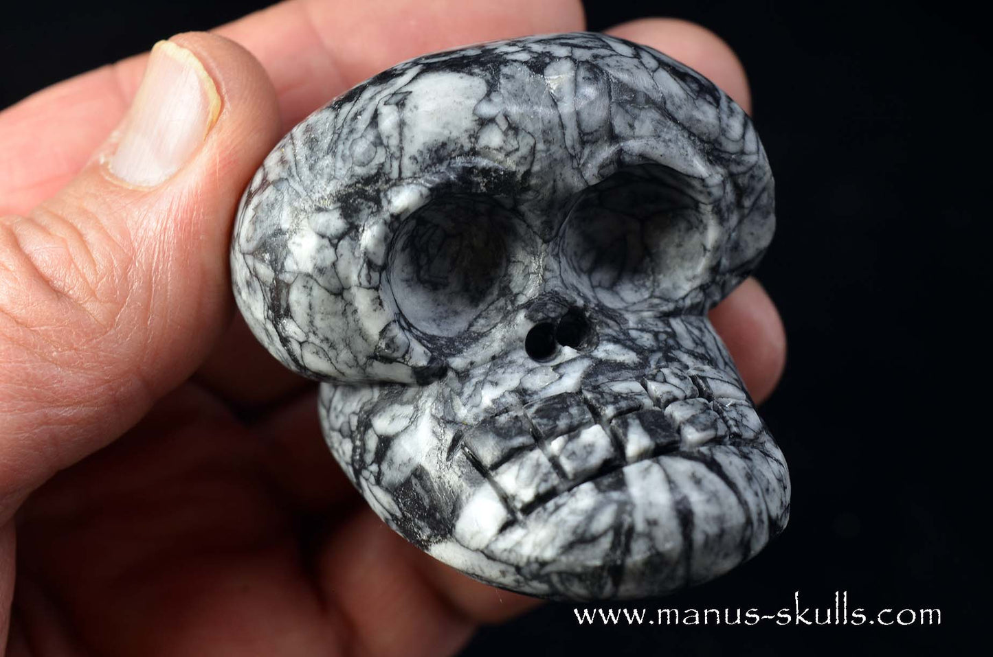Austrian Pinolith Evolian #04