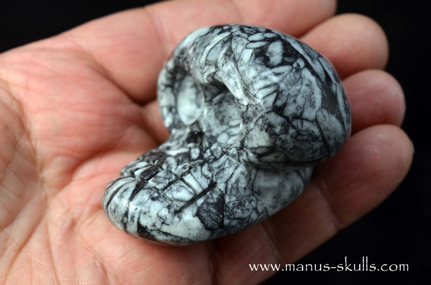 Austrian Pinolith Evolian #04