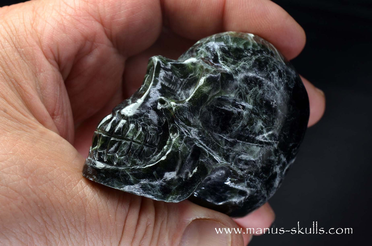 Seraphinite Skull