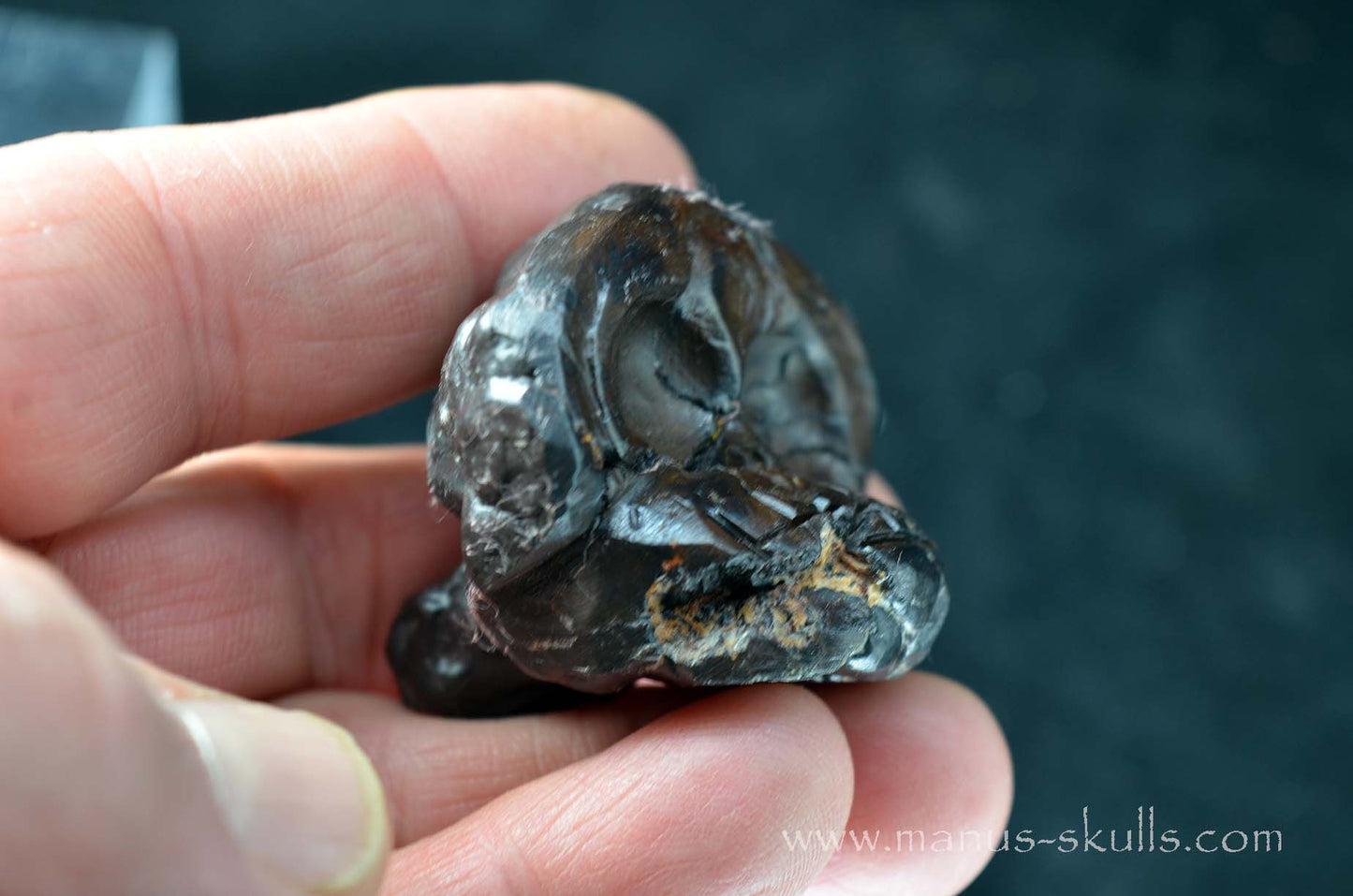 Prophecy Stone Evolian #09
