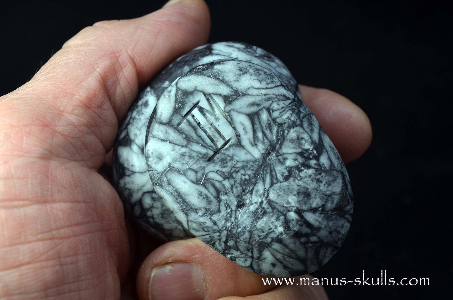 Austrian Pinolith Evolian #04