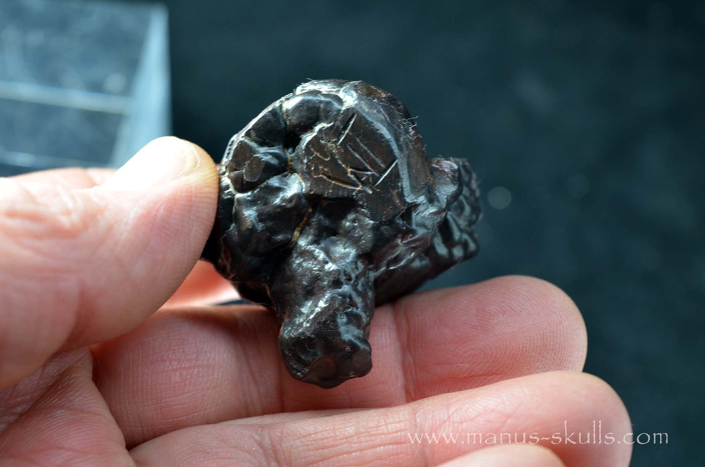 Prophecy Stone Evolian #09