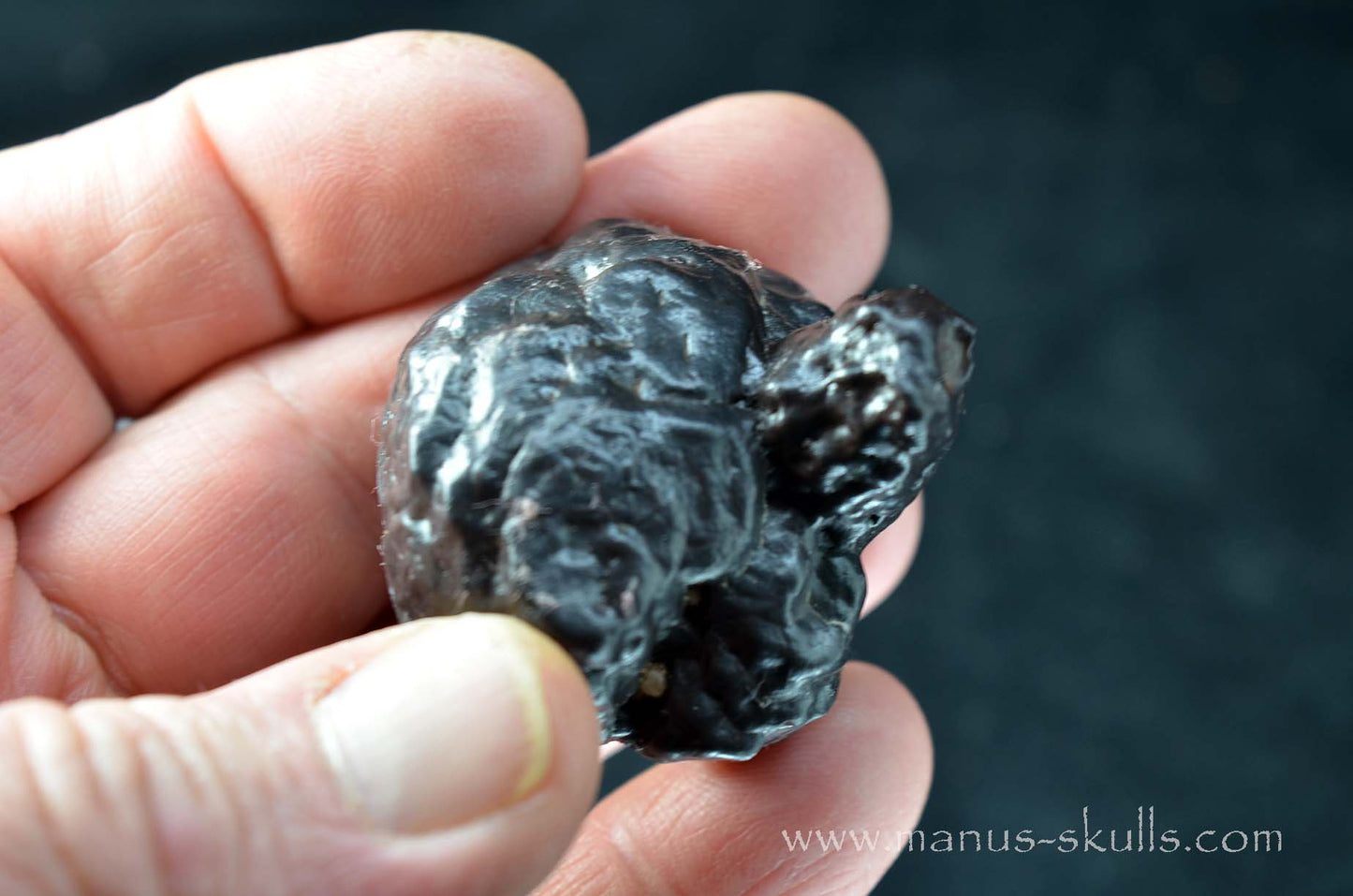 Prophecy Stone Evolian #09