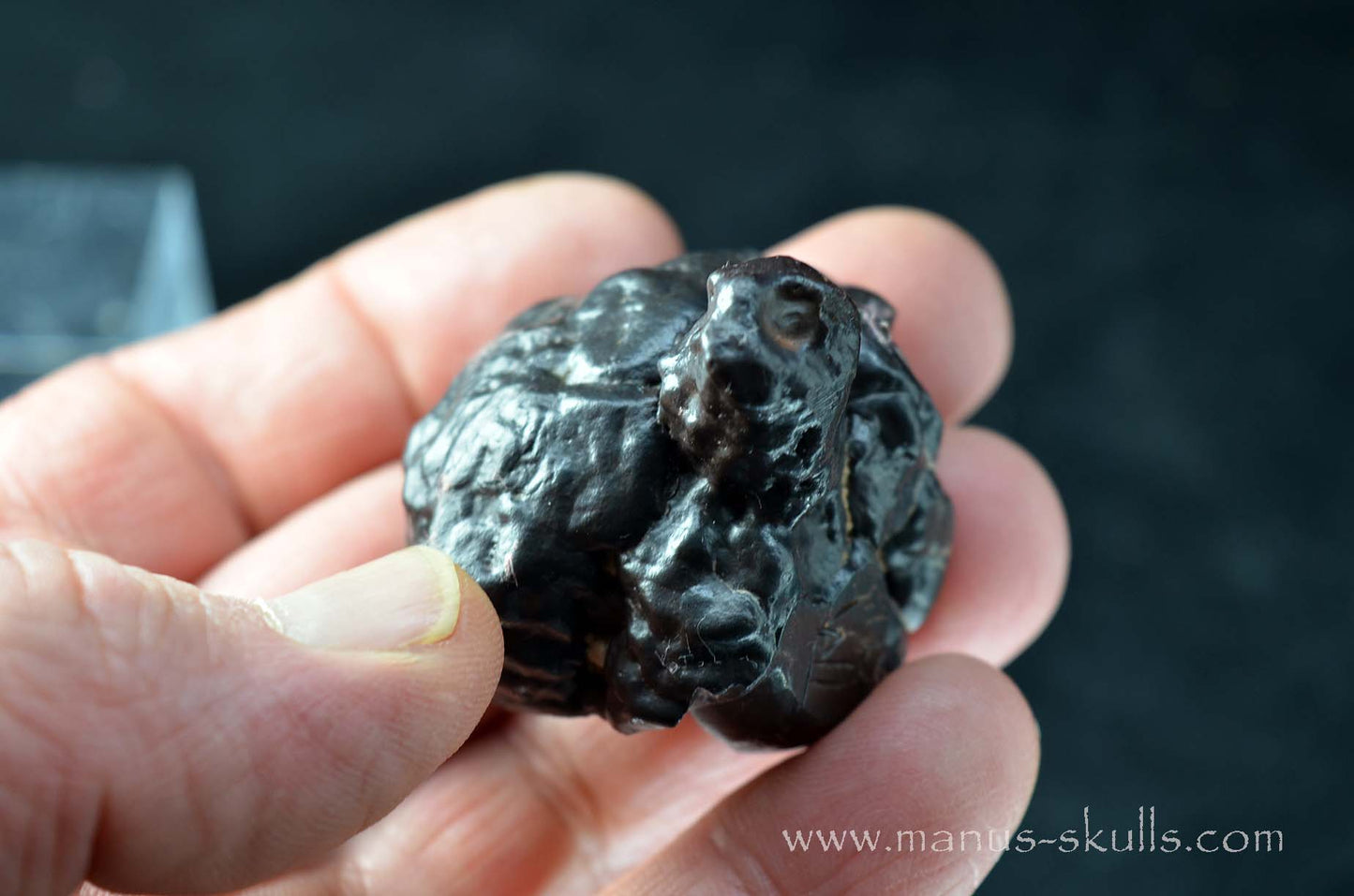 Prophecy Stone Evolian #09