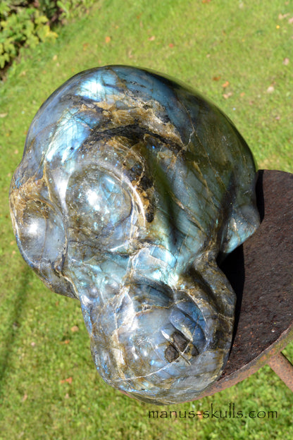 Large Labradorite Skull (9,3 KG)