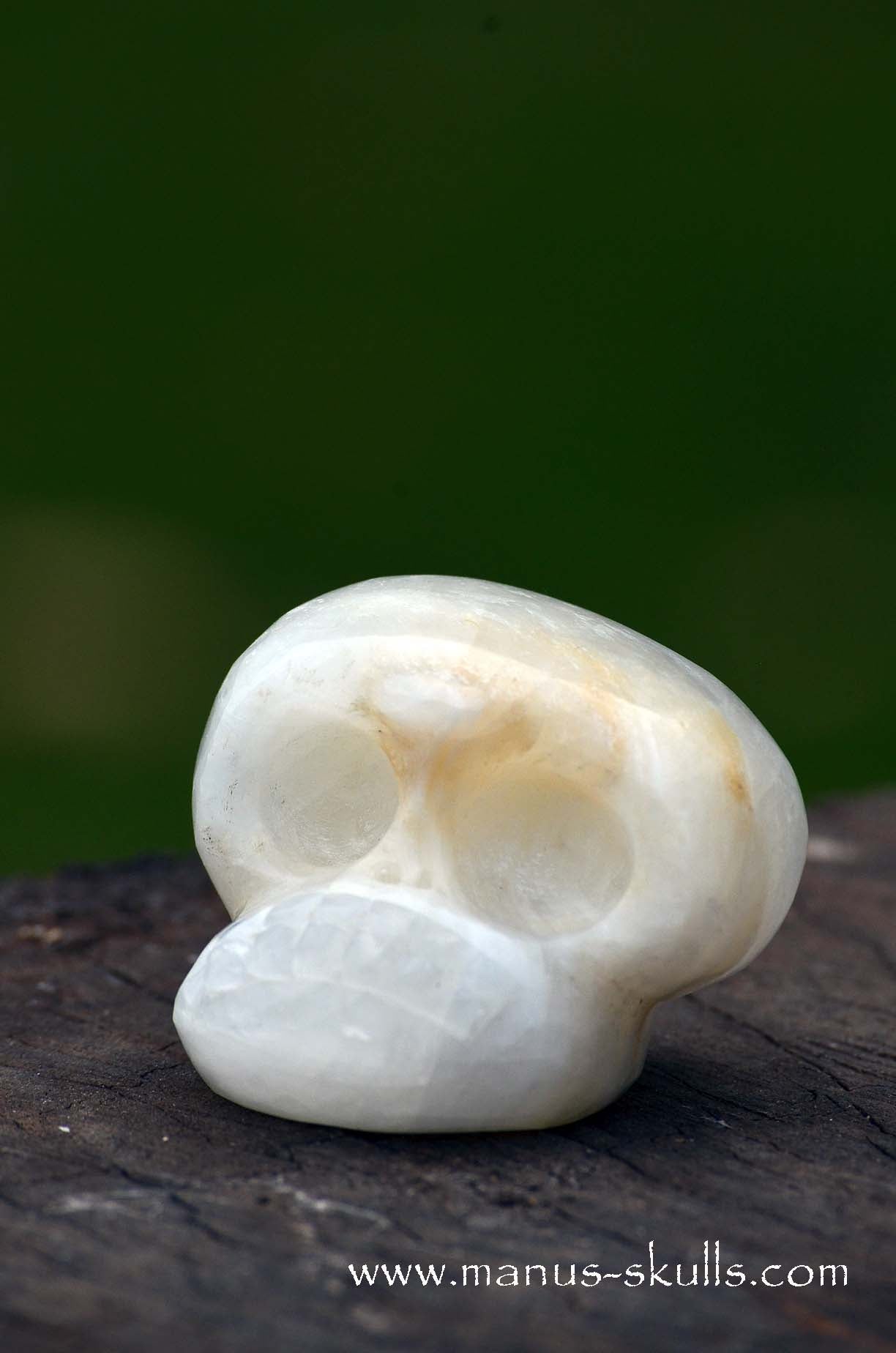 Manus skulls unique Crystal Carvings handmade skulls dragons pendants preseli bluestone tribals spiritual meaning wand Unicorn .. white calcite Evolian 2025