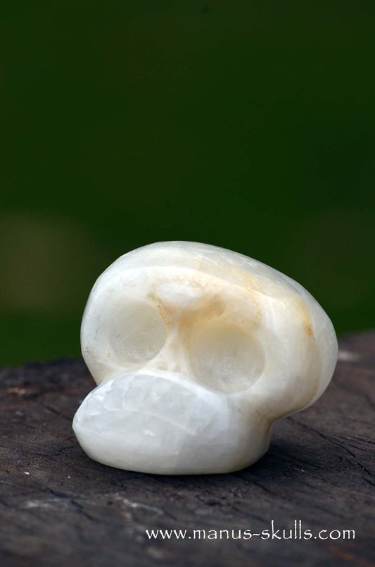 Manus skulls unique Crystal Carvings handmade skulls dragons pendants preseli bluestone tribals spiritual meaning wand Unicorn .. white calcite Evolian 2025