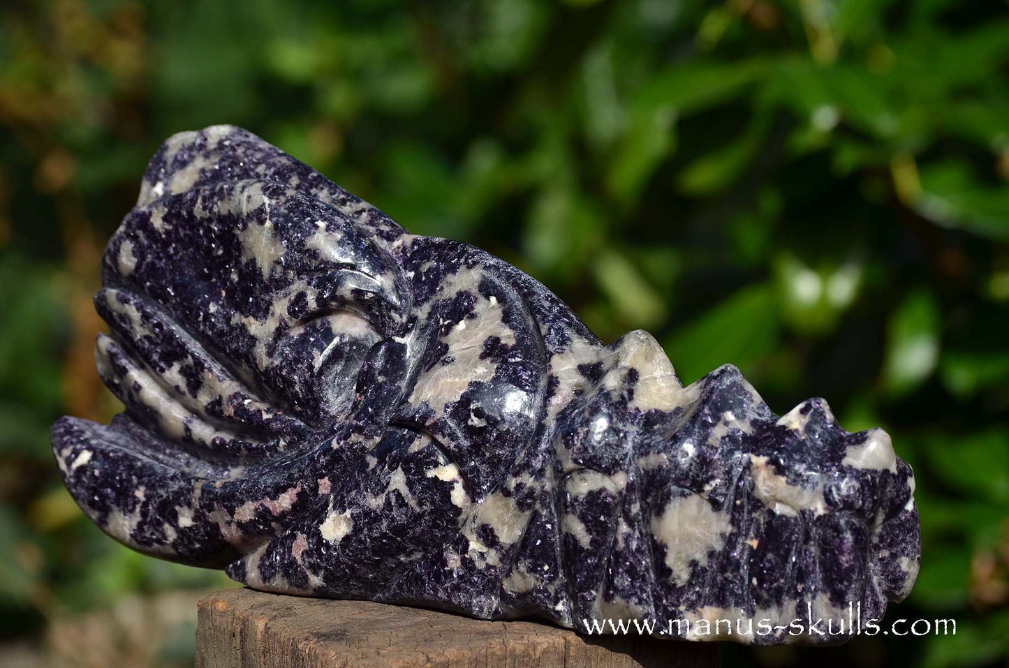 Huge LEPIDOLITE Dragon ...