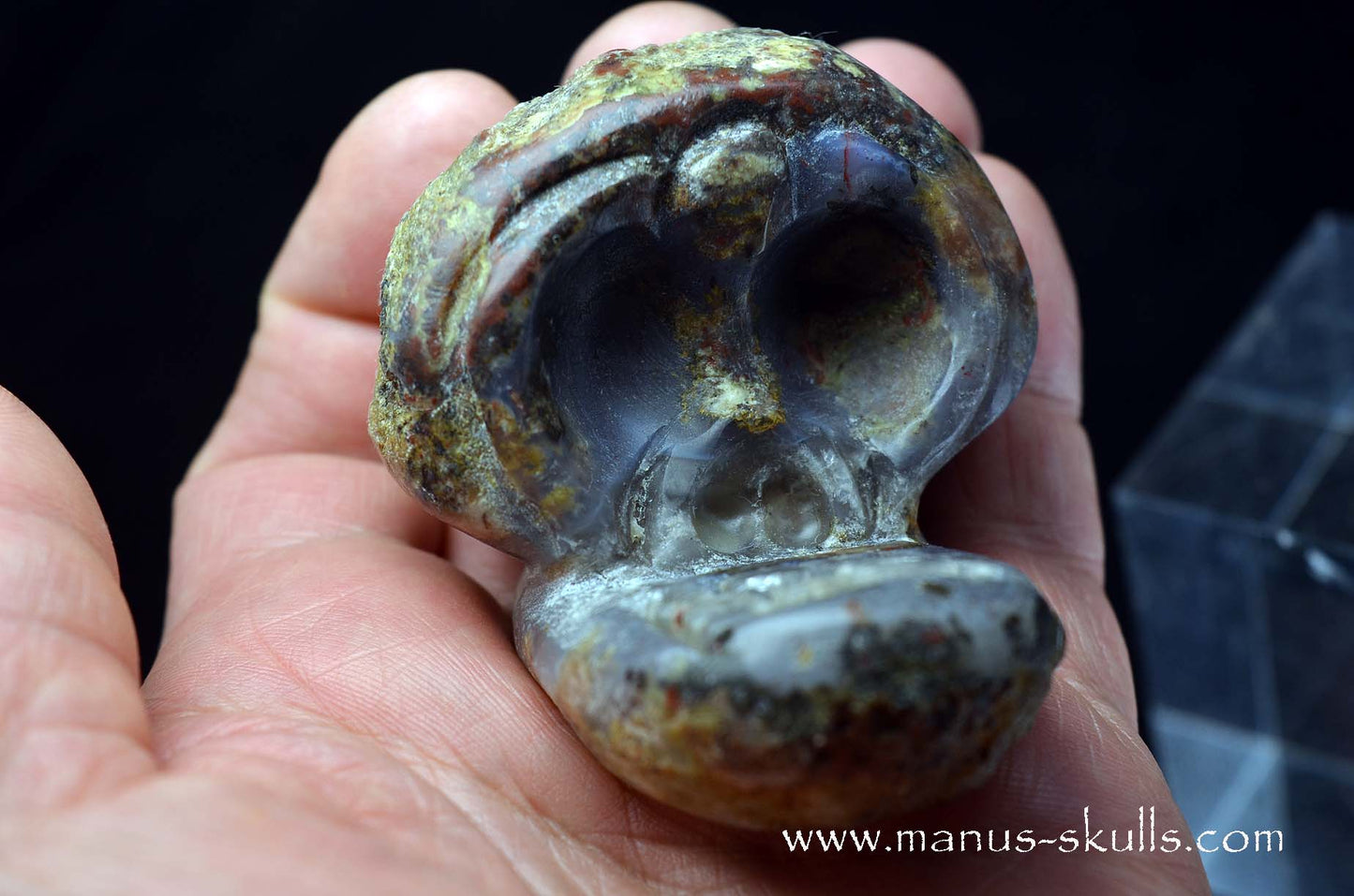 Agate Geode Evolian #02